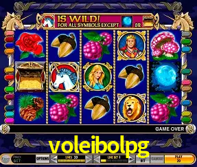 Descubra a Magia dos Jogos de Arcade no voleibolpg